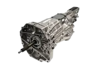 t6